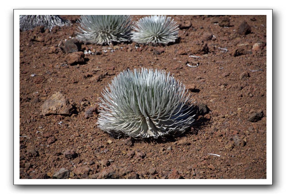 Haleakala-Volcano-Maui-129