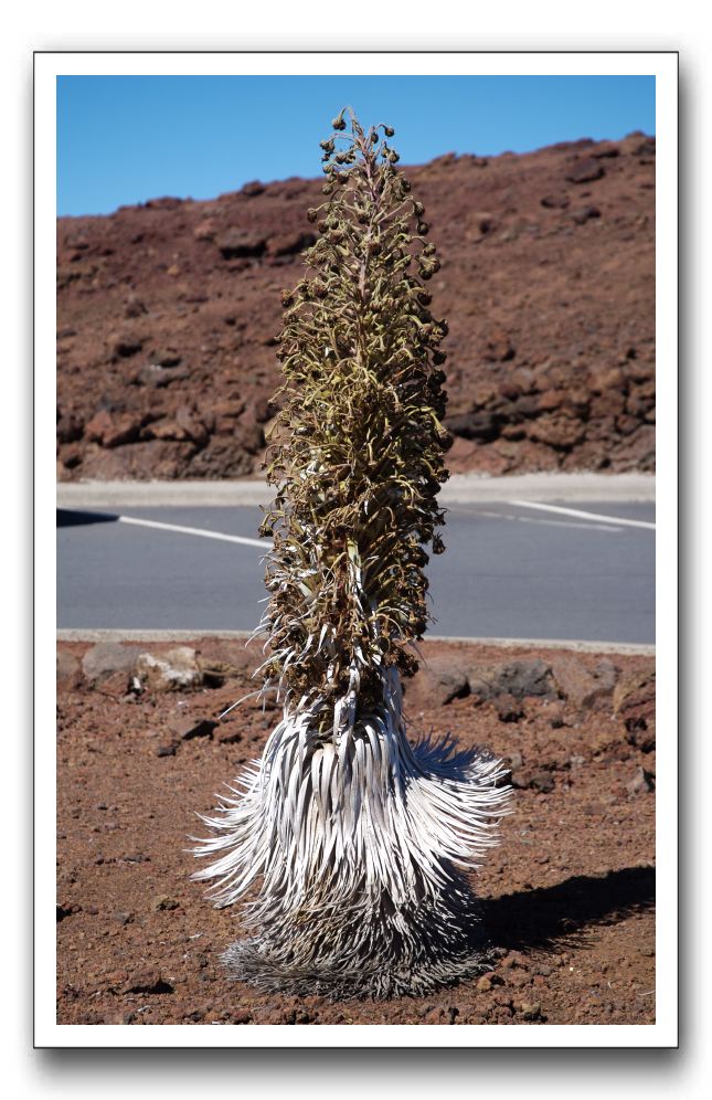 Haleakala-Volcano-Maui-131