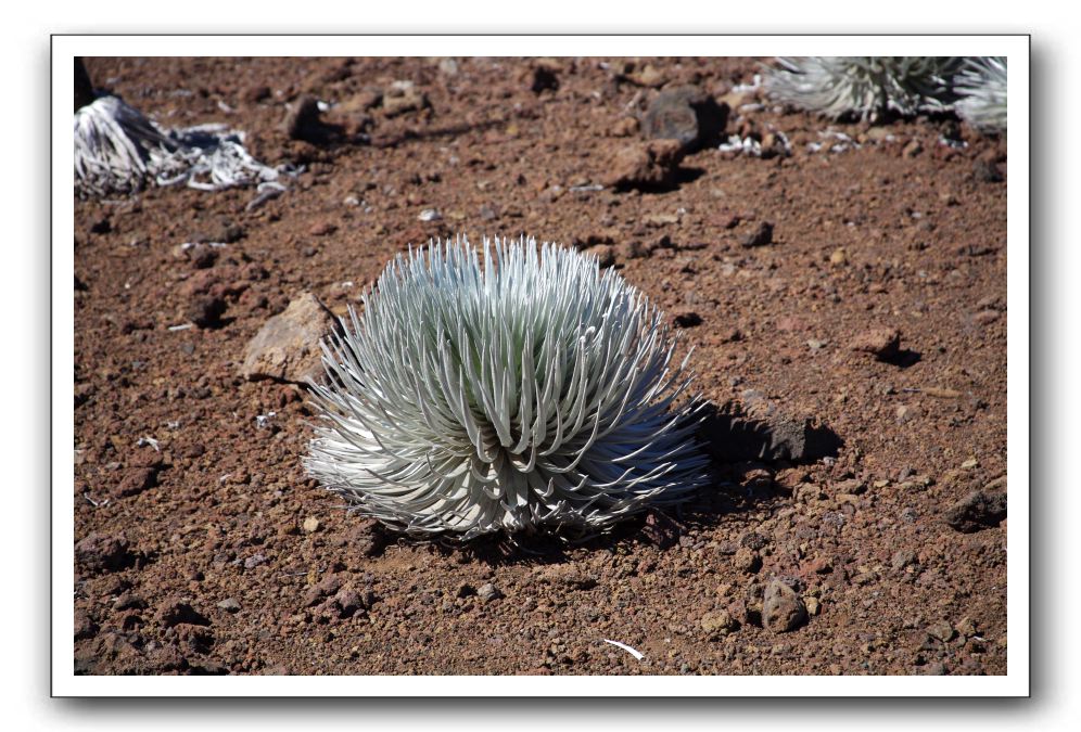 Haleakala-Volcano-Maui-132