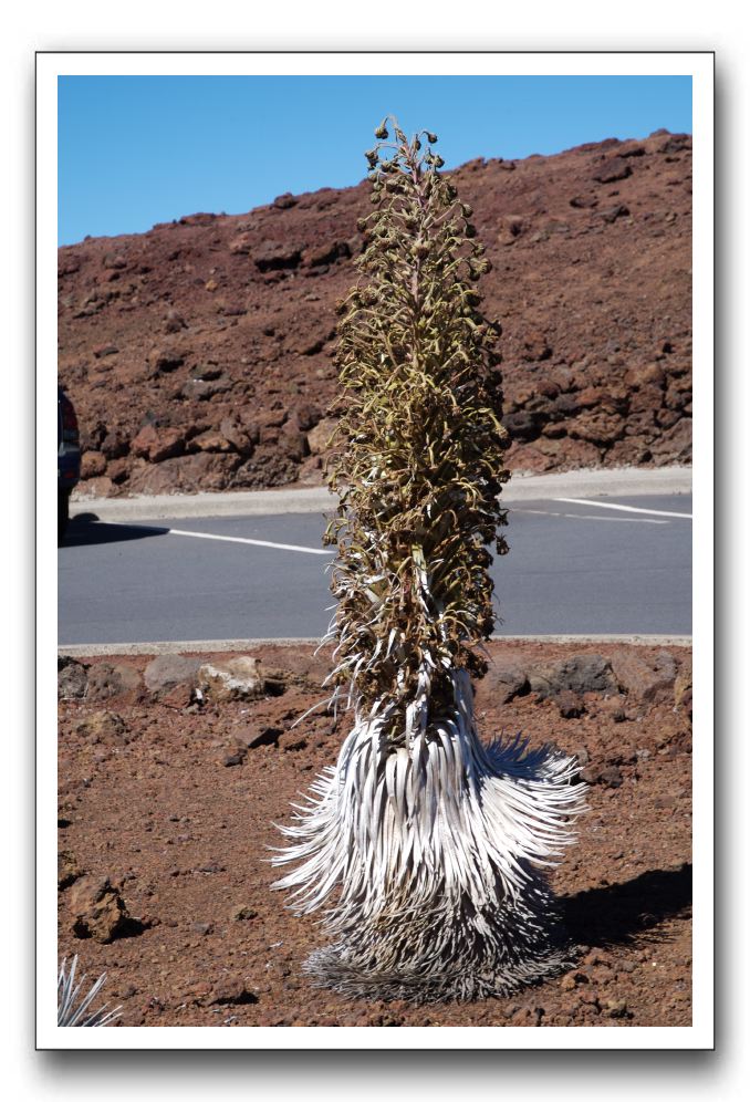 Haleakala-Volcano-Maui-133