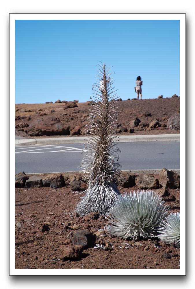 Haleakala-Volcano-Maui-134