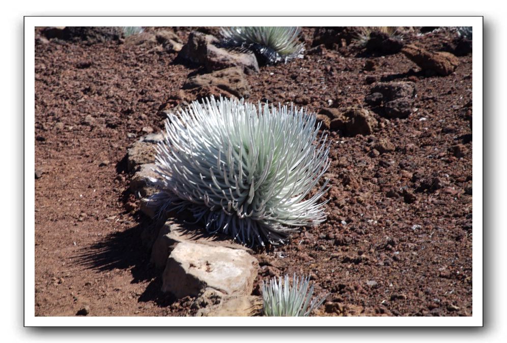 Haleakala-Volcano-Maui-137