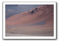 Haleakala-Volcano-Maui-176