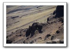 Haleakala-Volcano-Maui-296