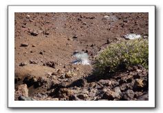 Haleakala-Volcano-Maui-057