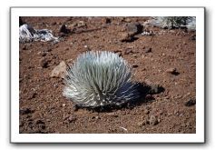 Haleakala-Volcano-Maui-132