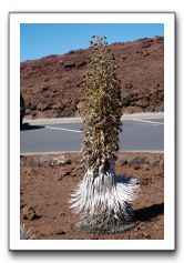 Haleakala-Volcano-Maui-133