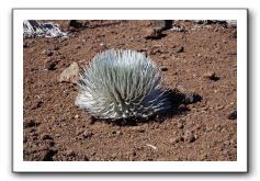 Haleakala-Volcano-Maui-136