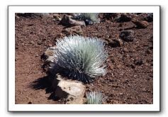 Haleakala-Volcano-Maui-137