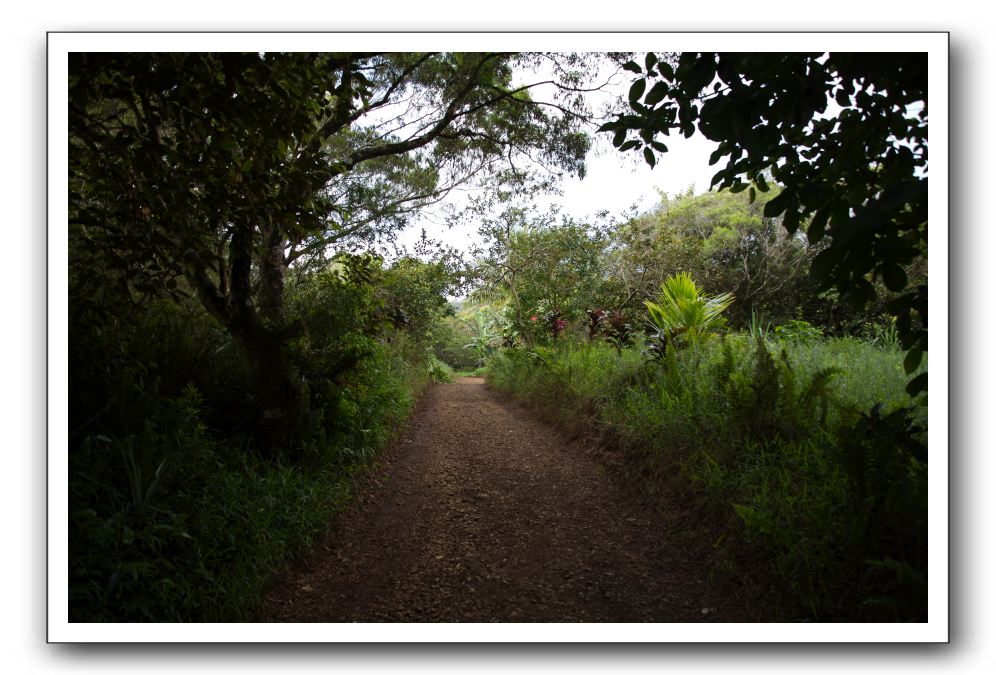 Hana-Highway-Waianapanapa-State-Park-001