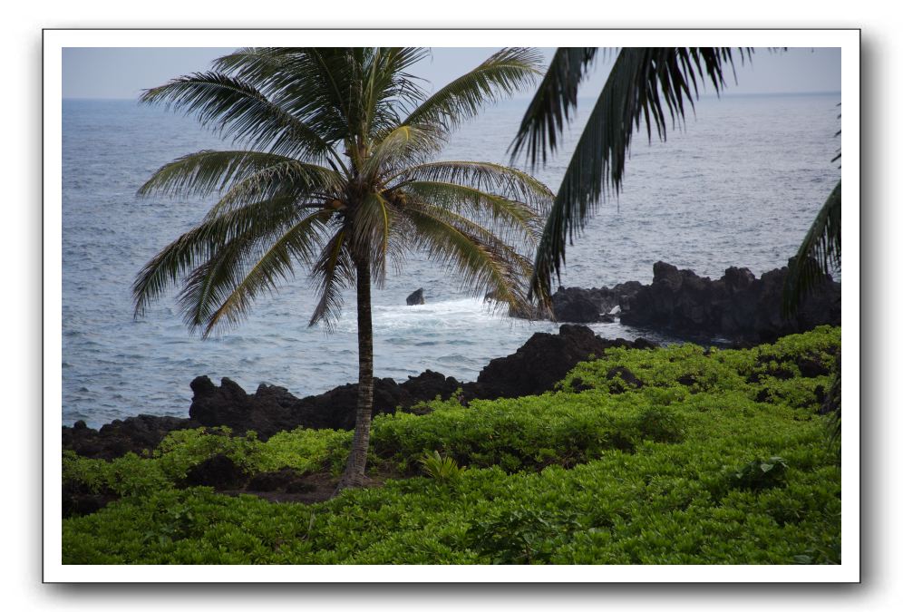 Hana-Highway-Waianapanapa-State-Park-142