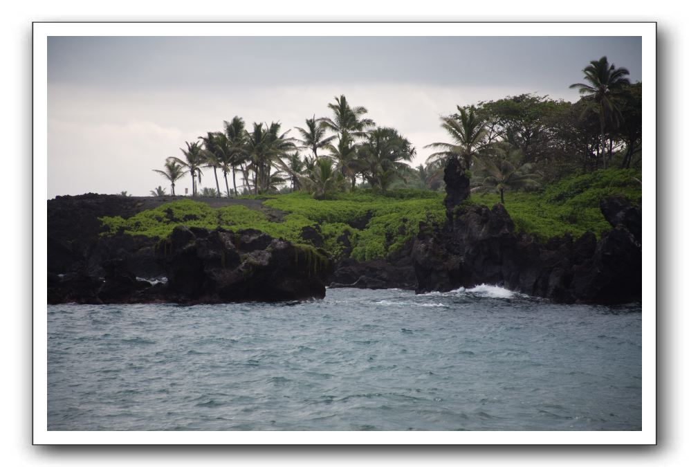 Hana-Highway-Waianapanapa-State-Park-231