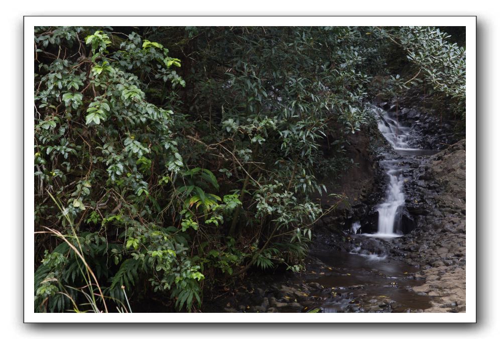 Hana-Highway-Waianapanapa-State-Park-032