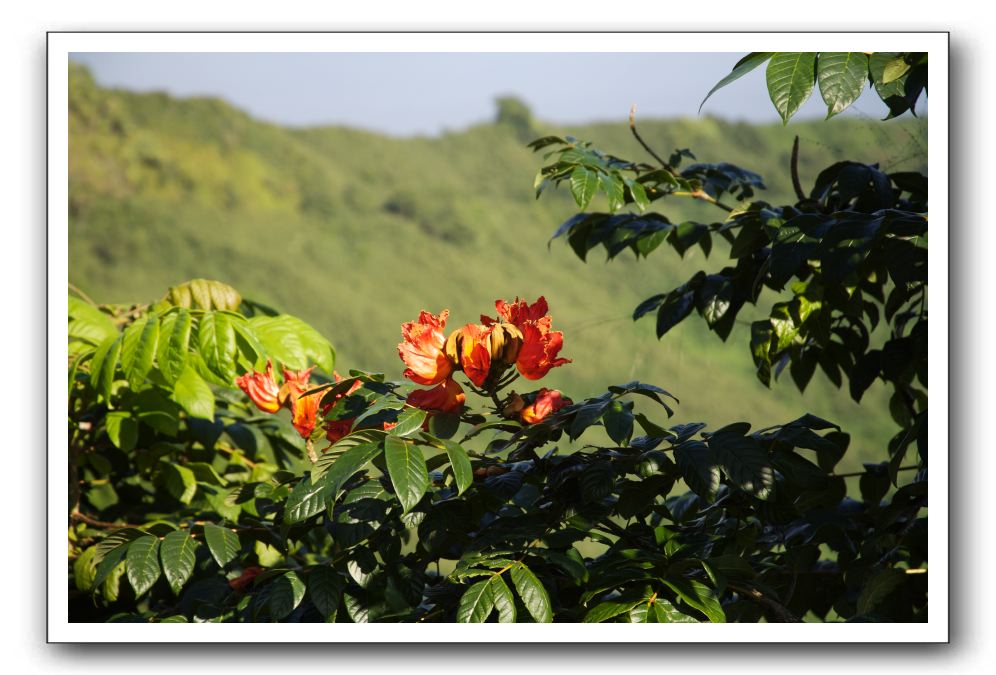 Hana-Highway-Waianapanapa-State-Park-090