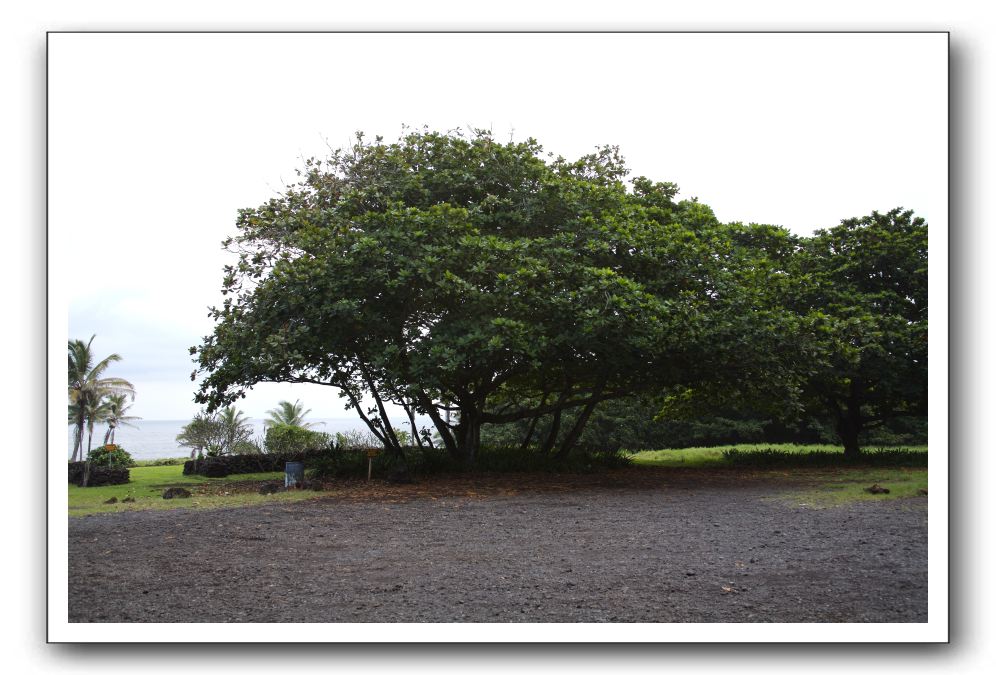 Hana-Highway-Waianapanapa-State-Park-095