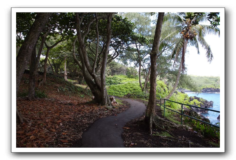 Hana-Highway-Waianapanapa-State-Park-134