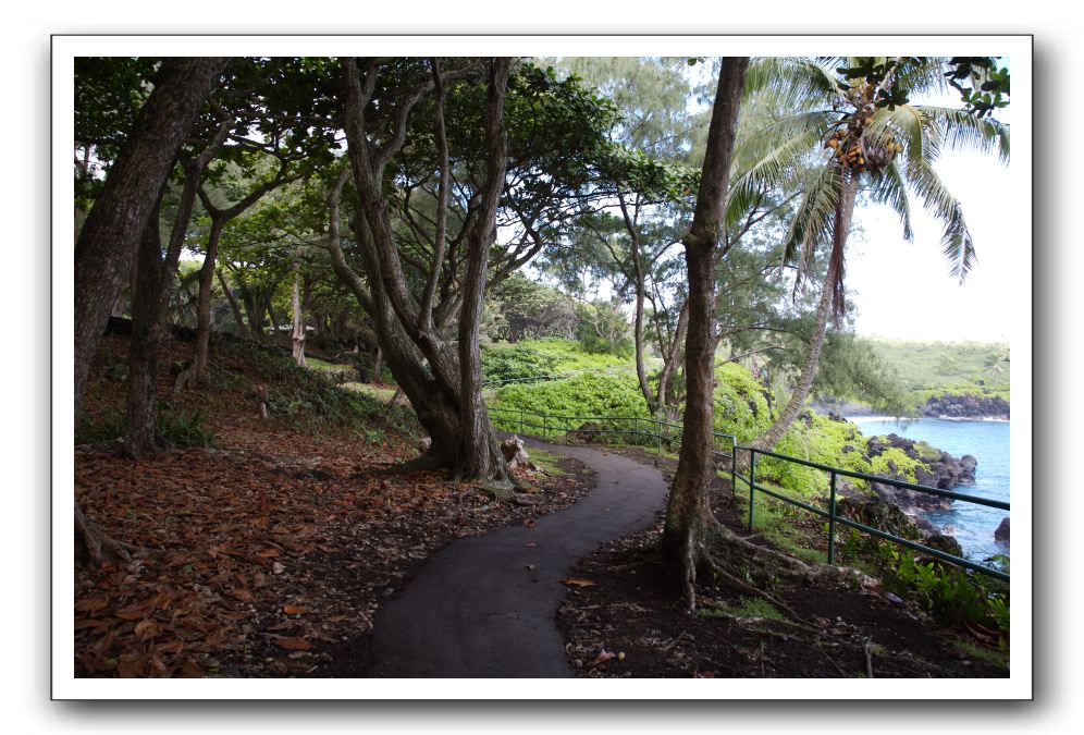 Hana-Highway-Waianapanapa-State-Park-135