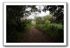 Hana-Highway-Waianapanapa-State-Park-001