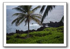 Hana-Highway-Waianapanapa-State-Park-142