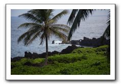 Hana-Highway-Waianapanapa-State-Park-144