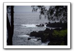 Hana-Highway-Waianapanapa-State-Park-160