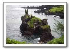 Hana-Highway-Waianapanapa-State-Park-175