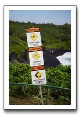 Hana-Highway-Waianapanapa-State-Park-197