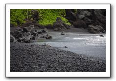 Hana-Highway-Waianapanapa-State-Park-212