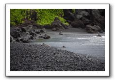 Hana-Highway-Waianapanapa-State-Park-213