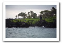 Hana-Highway-Waianapanapa-State-Park-229