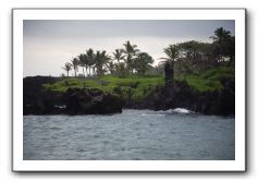 Hana-Highway-Waianapanapa-State-Park-231