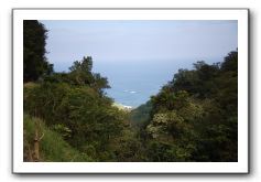 Hana-Highway-Waianapanapa-State-Park-365