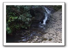 Hana-Highway-Waianapanapa-State-Park-038