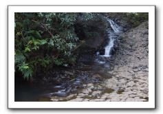 Hana-Highway-Waianapanapa-State-Park-039