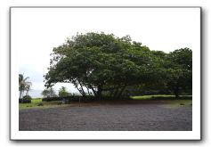 Hana-Highway-Waianapanapa-State-Park-095