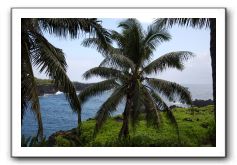 Hana-Highway-Waianapanapa-State-Park-114