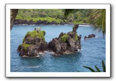 Hana-Highway-Waianapanapa-State-Park-117