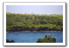 Hana-Highway-Waianapanapa-State-Park-132