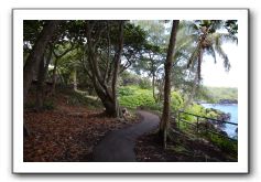 Hana-Highway-Waianapanapa-State-Park-134