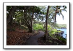 Hana-Highway-Waianapanapa-State-Park-135