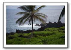 Hana-Highway-Waianapanapa-State-Park-139