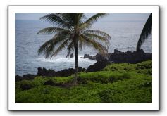 Hana-Highway-Waianapanapa-State-Park-140