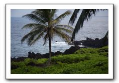 Hana-Highway-Waianapanapa-State-Park-141