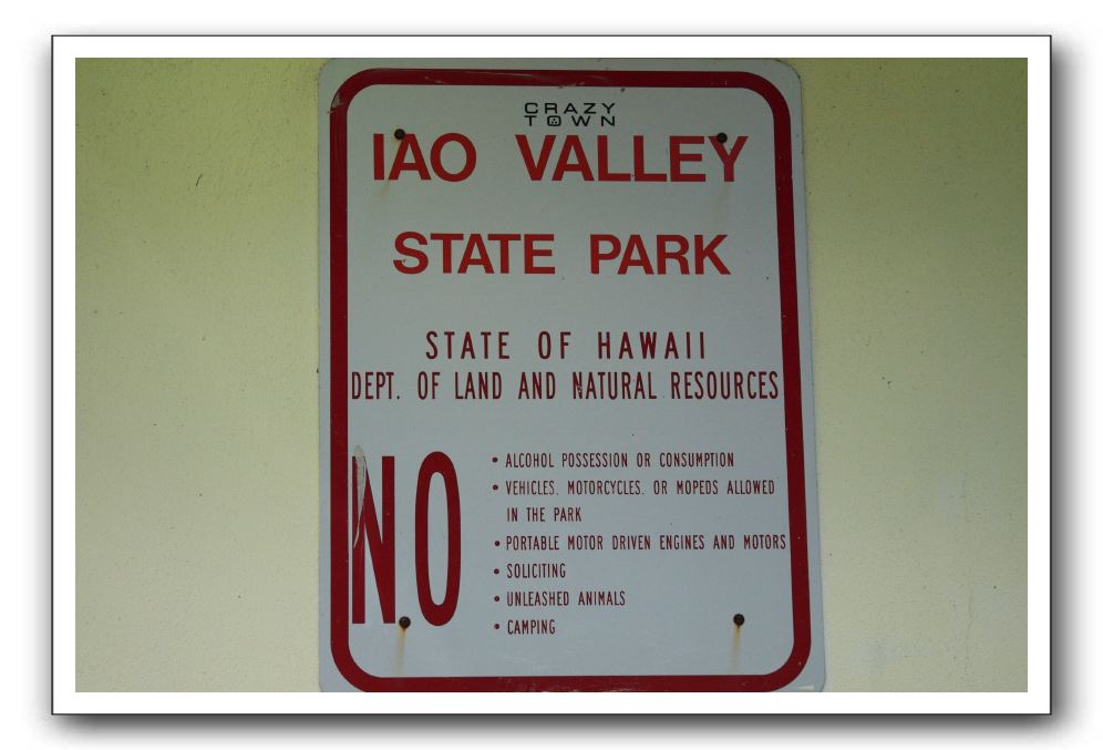 Iao-Needle-Iao-Valley-State-Park-Maui-003