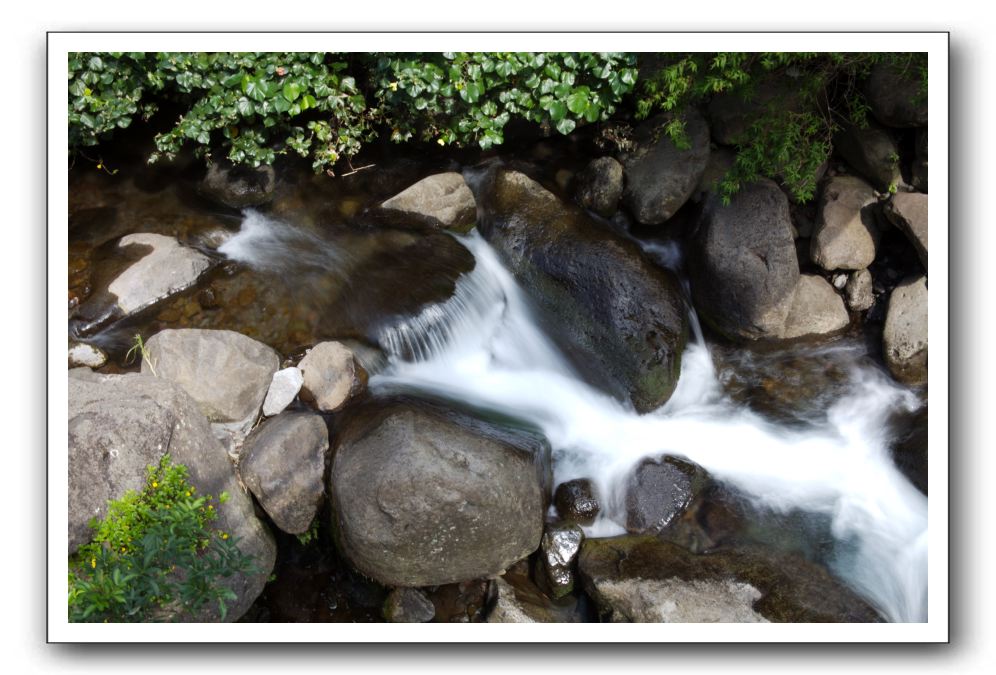 Iao-Needle-Iao-Valley-State-Park-Maui-022