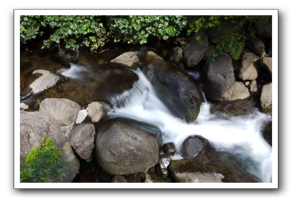 Iao-Needle-Iao-Valley-State-Park-Maui-023