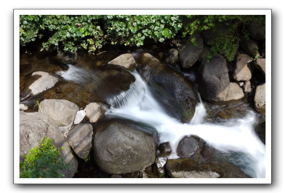 Iao-Needle-Iao-Valley-State-Park-Maui-026