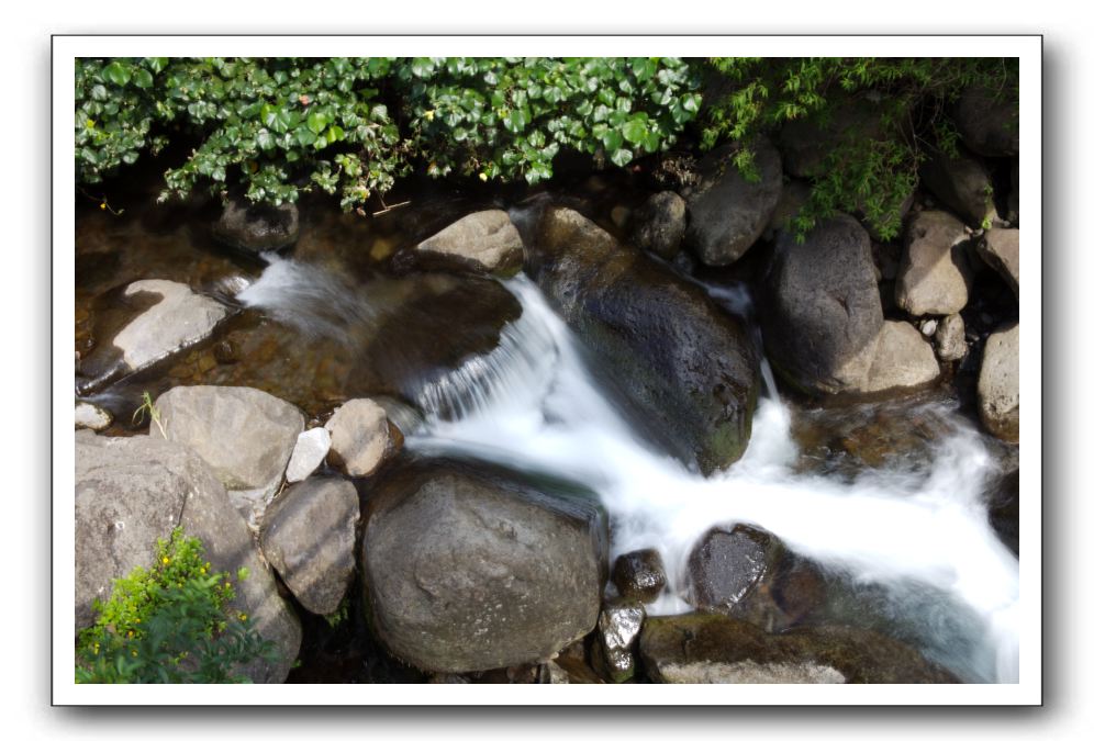 Iao-Needle-Iao-Valley-State-Park-Maui-027