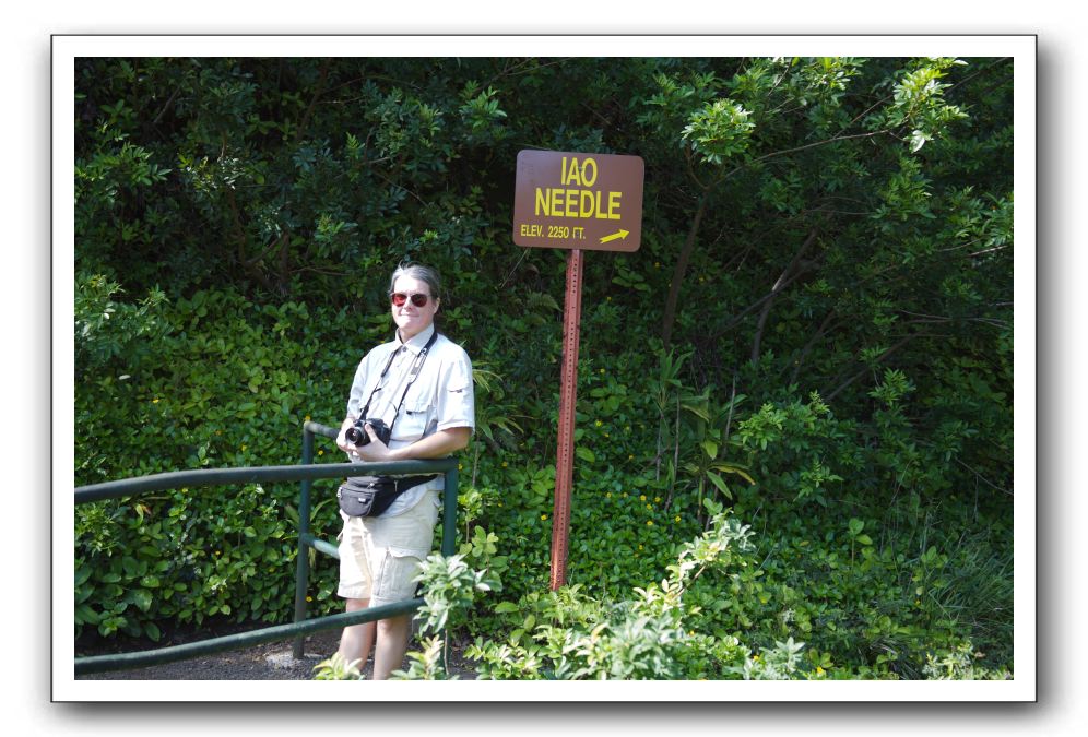 Iao-Needle-Iao-Valley-State-Park-Maui-032