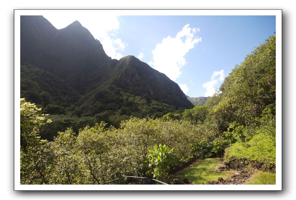 Iao-Needle-Iao-Valley-State-Park-Maui-045